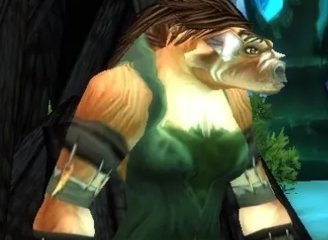 魔兽世界埃霍恩的碎片任务攻略(图5) 魔兽世界埃霍恩的碎片任务攻略(图5)