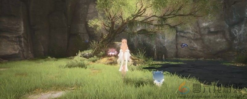 无限暖暖花伞藤萝获得方法(图1)