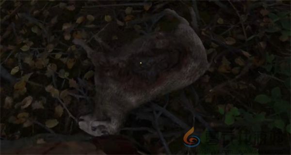 天国拯救2失踪的羊支线任务攻略分享(图8)